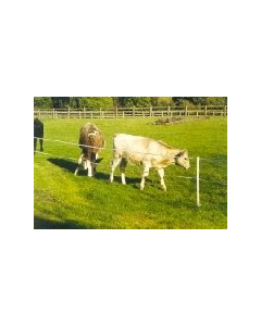 Beef / Suckler Herd - Strip Grazing Battery Operated Kit - 200m