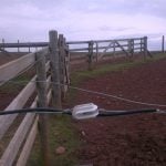 Electric fencing for horses